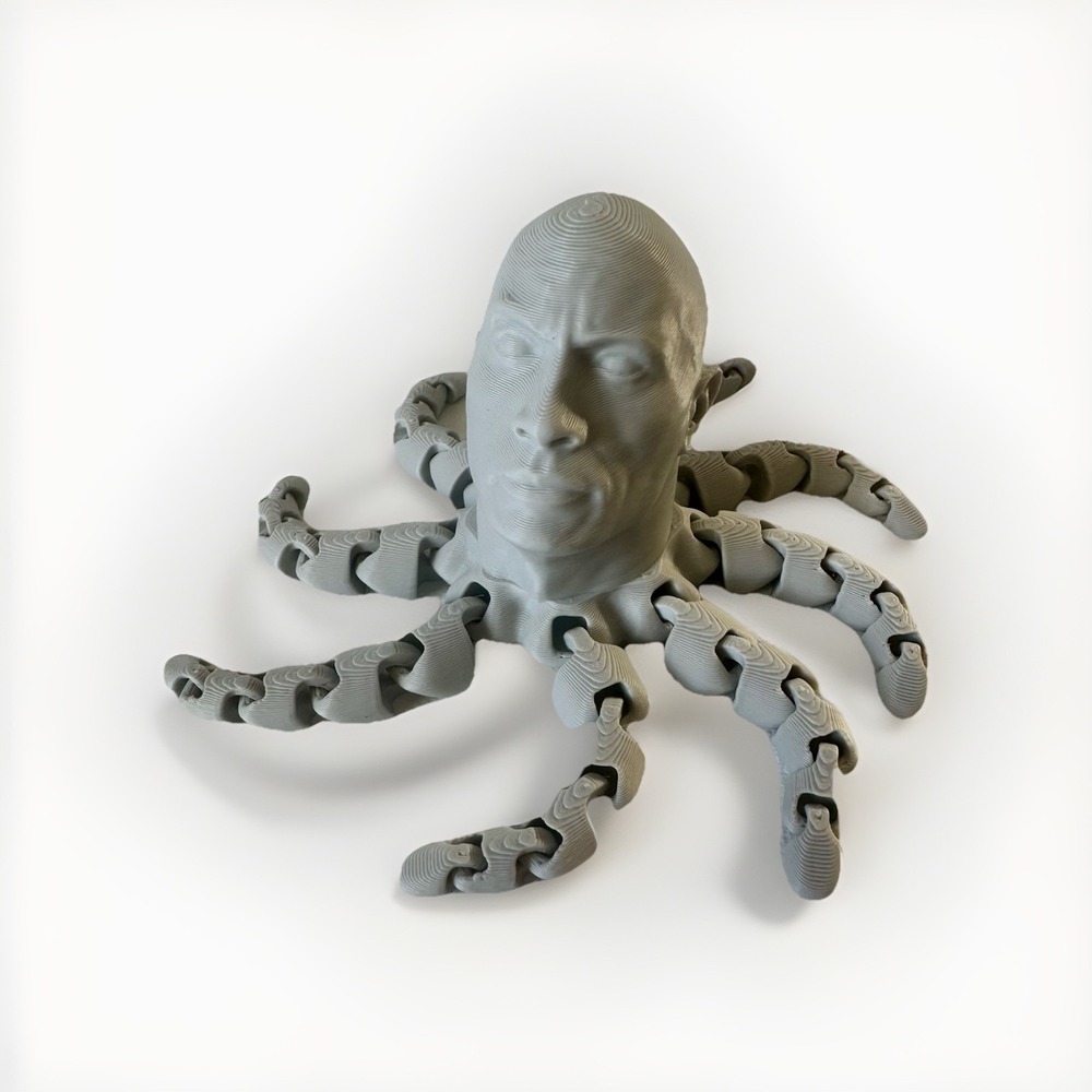 3d Printed The‎ Rock Octopus Rocktopus Action Figure/Celebrity - Desk Gift Toy